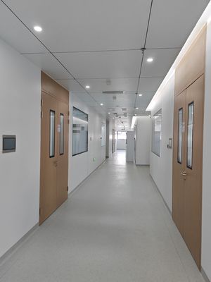 comprar Puertas giratorias de doble sala limpia de acero de grano de madera Puertas metálicas de hospital con visión de cristal online manufacture