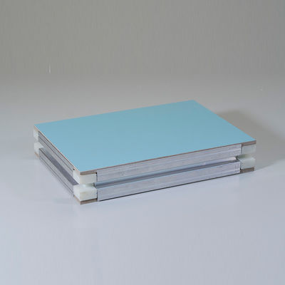comprar Antibacteriano a prueba de fuego Panel de sándwich de cuarto limpio hecho a mano Panel de purificación médica online manufacture